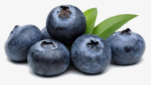 Blueberries Png High Quality Image, Transparent Png, Free Download