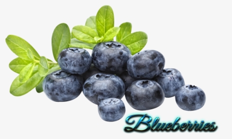 Blueberries Transparent, HD Png Download, Free Download
