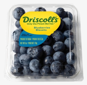 Blueberries Png, Transparent Png, Free Download