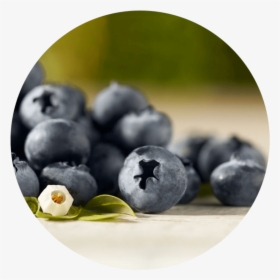 Blueberries Png, Transparent Png, Free Download