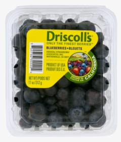 Blueberries Png, Transparent Png, Free Download