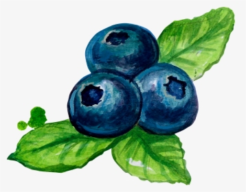 Blueberries Png, Transparent Png, Free Download