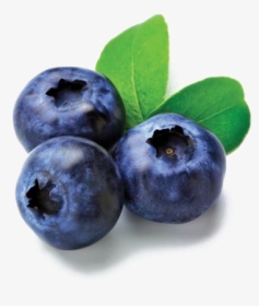 Blueberries Png Image File, Transparent Png, Free Download