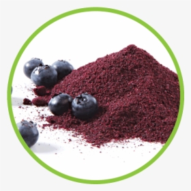Dried Blueberries Are Available In Many Forms, Including, HD Png Download, Free Download