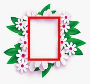 Pinterest Logo Png Transparent Background, Png Download, Free Download
