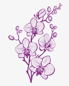 Hand Painted Purple Orchid Vector, HD Png Download, Free Download