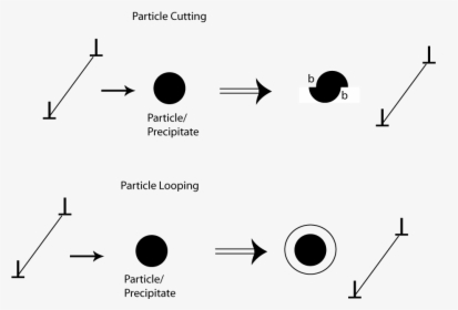Particle Strengthening, HD Png Download, Free Download