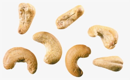 Cashew Nut Png, Transparent Png, Free Download