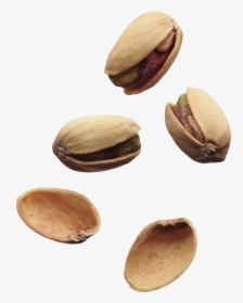Pistachios Png Image Without, Transparent Png, Free Download