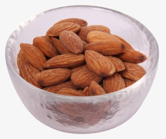 Almond Png Image, Transparent Png, Free Download