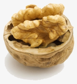 Walnut Png Hd, Transparent Png, Free Download