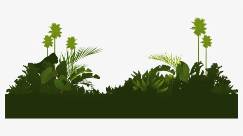 Transparent Jungle Tree Png, Png Download, Free Download