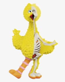 Big Bird Png, Transparent Png, Free Download