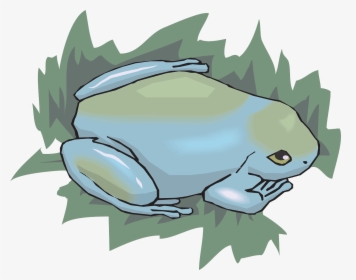 Jungle Png, Transparent Png, Free Download