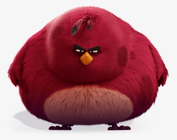 Big Red Bird From Angry Birds, HD Png Download, Free Download