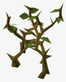 Jungle Png, Transparent Png, Free Download