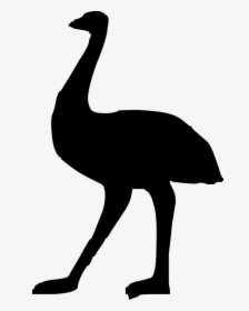 Emu, Ostrich, Bird, Large, Australia, Silhouette, Big, HD Png Download, Free Download