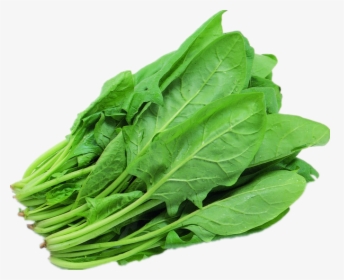 Spinach Png, Transparent Png, Free Download