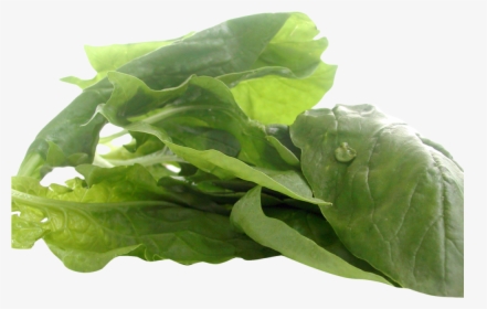 Spinach Png, Transparent Png, Free Download