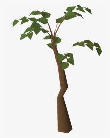 Jungle Png, Transparent Png, Free Download