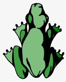 Jungle Png, Transparent Png, Free Download