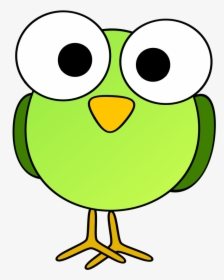 Green Googley-eye Bird, HD Png Download, Free Download