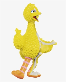 Big Bird Png, Transparent Png, Free Download