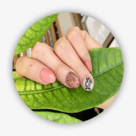 Green Hand Leaf, HD Png Download, Free Download