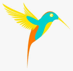Colors Clipart Bird, HD Png Download, Free Download