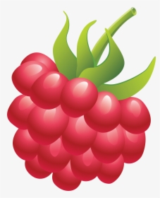 Raspberry Png Image, Transparent Png, Free Download