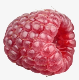 Transparent Raspberries Png, Png Download, Free Download