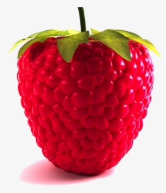 Download Raspberry Png Picture, Transparent Png, Free Download