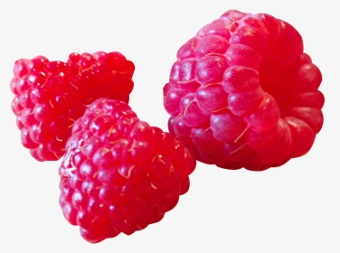 Raspberry Png Image, Transparent Png, Free Download
