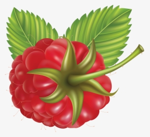 Rraspberry Png Image, Transparent Png, Free Download