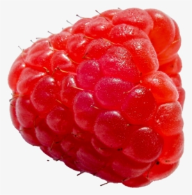 Raspberry Free Transparent Images, HD Png Download, Free Download