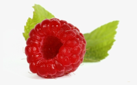 Single Raspberry Png Image Background, Transparent Png, Free Download