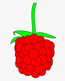 Simple Raspberry Clip Arts, HD Png Download, Free Download