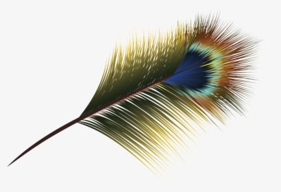 Transparent Feather Vector , Png Download, Png Download, Free Download