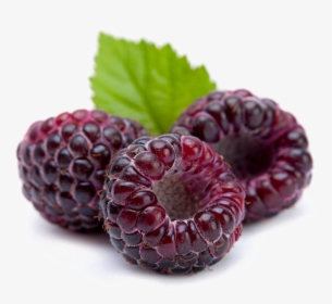 Raspberry Png Image Background, Transparent Png, Free Download