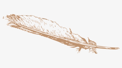 Feather, Pinion, Quill, Flight, Light, HD Png Download, Free Download