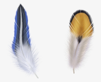 Fur Vector Bird Feather, HD Png Download, Free Download