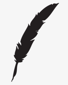 Feather Vector Png, Transparent Png, Free Download