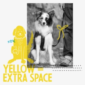 Yellow Ribbon Png, Transparent Png, Free Download