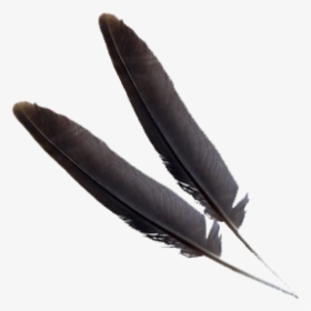 Black Png Feather Download, Transparent Png, Free Download