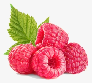 Raspberry , Png Download, Transparent Png, Free Download