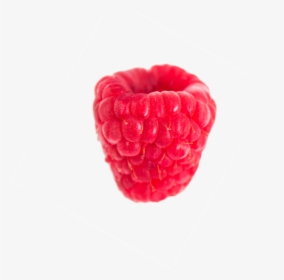 A Ripe Raspberry, HD Png Download, Free Download