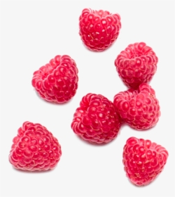 Raspberry Png, Transparent Png, Free Download