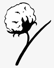Cotton Plant Drawing , Png Download, Transparent Png, Free Download