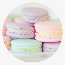 #pastel #pastelcolors #sweets #treats #png #circle, Transparent Png, Free Download