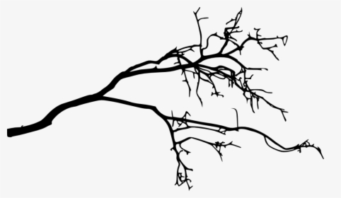 Branch Silhouette Drawing, HD Png Download, Free Download